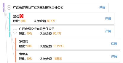 廣西聯(lián)智房地產(chǎn)營銷策劃有限責任公司 專業(yè)賦能，智領(lǐng)房地產(chǎn)營銷新篇章